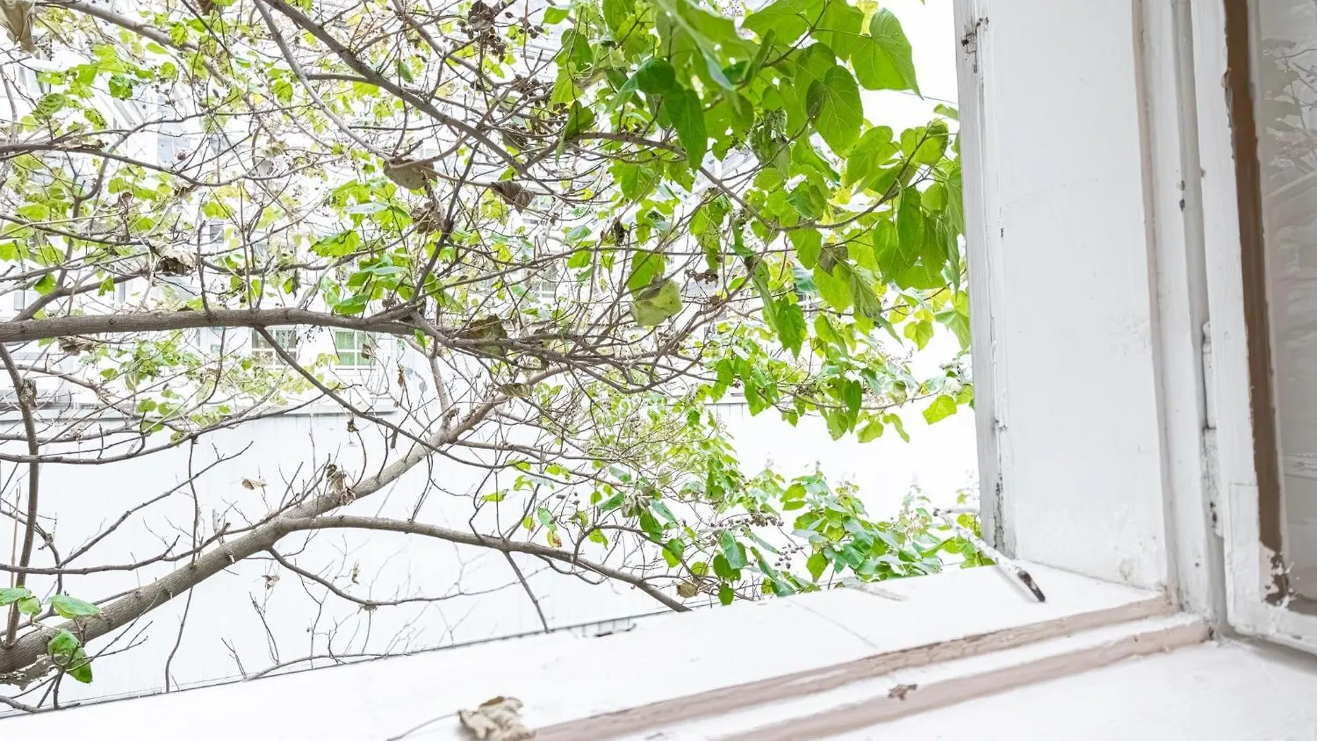 Central Belvedere 3Br Shared Apartment - 12 Min From City Center Βιέννη 0*,  Αυστρία